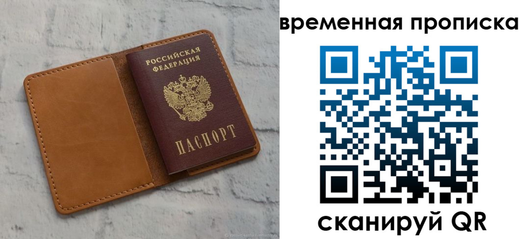 прописка поиск в Шарье